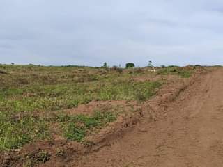 A picture of 50 100ft plots at our kakiri town estate