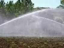 A picture of agriculture