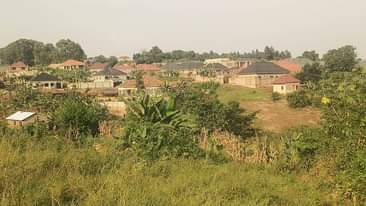 A picture of Quick sale 7.5m 40by40ft matugga kavunza 1km.off matugga kasangati rd