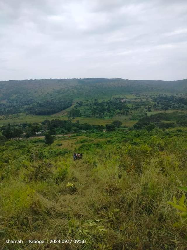 A picture of 20 acres for sale on hoima road lwamata starting from