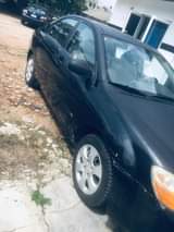 A picture of cerato