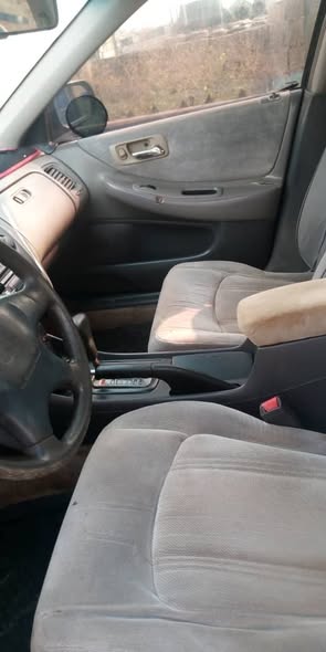 A picture of Honda Baby Boy for Sale or Swap