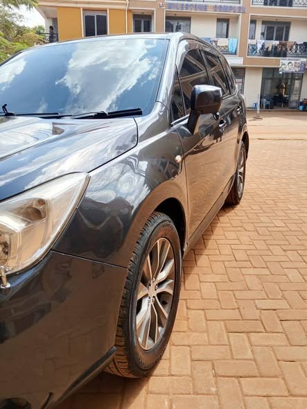 A picture of Subaru forester 2015