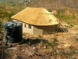 A picture of Thatching Lappa
