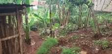 A picture of Quick Sale 50 100ft In Buloba