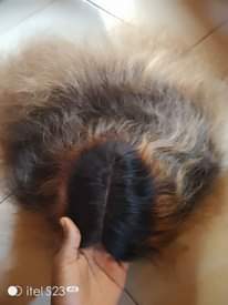 A picture of Fairly used 100 human hairs