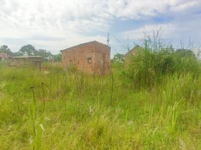 A picture of PLOTS IN NALONGO TRADING CENTER AVAILABLE FROM AS LOW AS