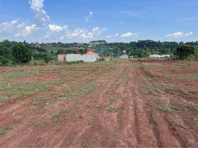 A picture of Plots at 28m Kiwenda