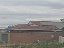 stands