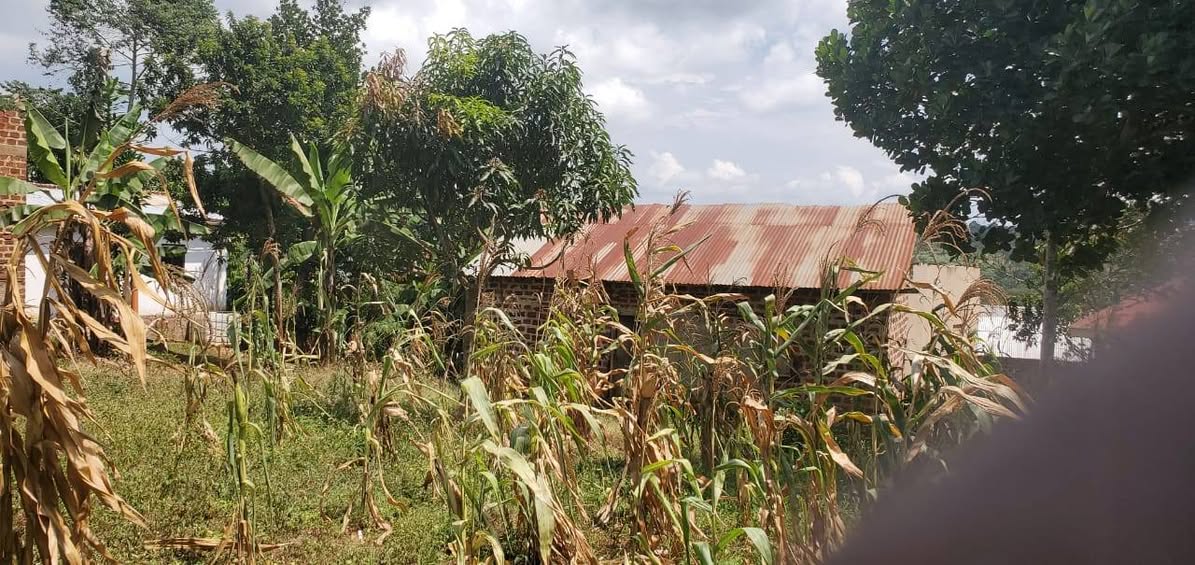 A picture of FOR SALE 50x50ft Plot Kisoga Town Mukono Size 50ft x