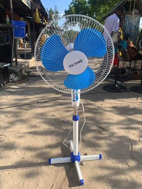 fans