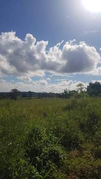 A picture of Private land 10 acres