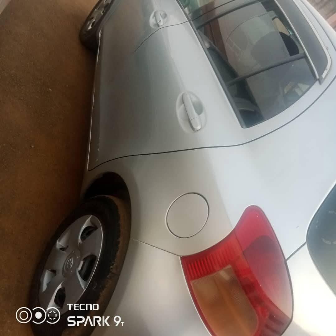 A picture of Vitz