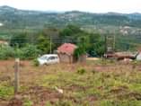 A picture of WAKISO BUKALANGO 0709106274 PLOTS WITH READY TITLES 50X100FT