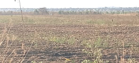 land