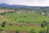 A picture of 50x100ft Wakiso Kakiri gobero mainroad plots Ready private mailo titles