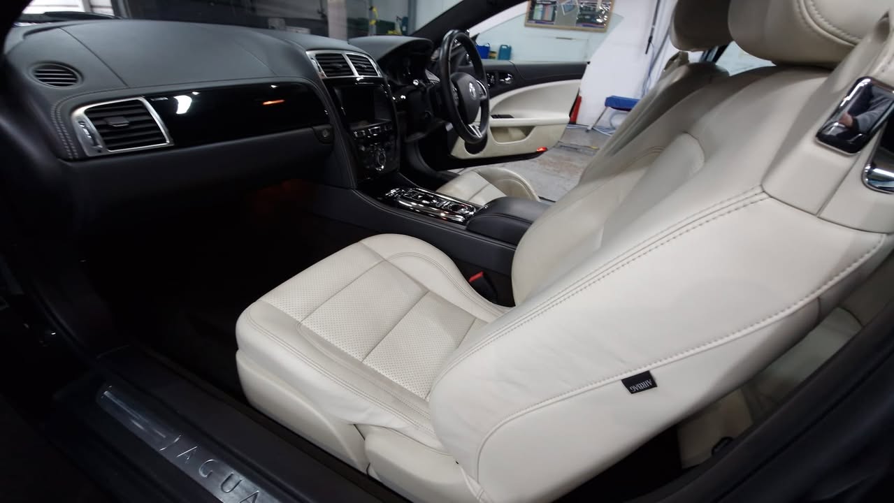 jaguar