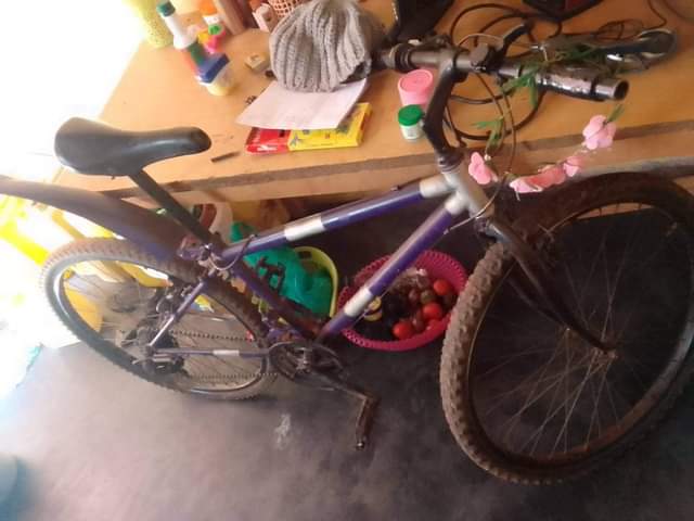 A picture of Bike 26size