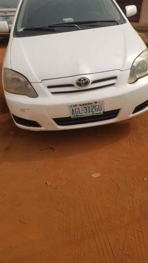 A picture of 2007 Allex car
