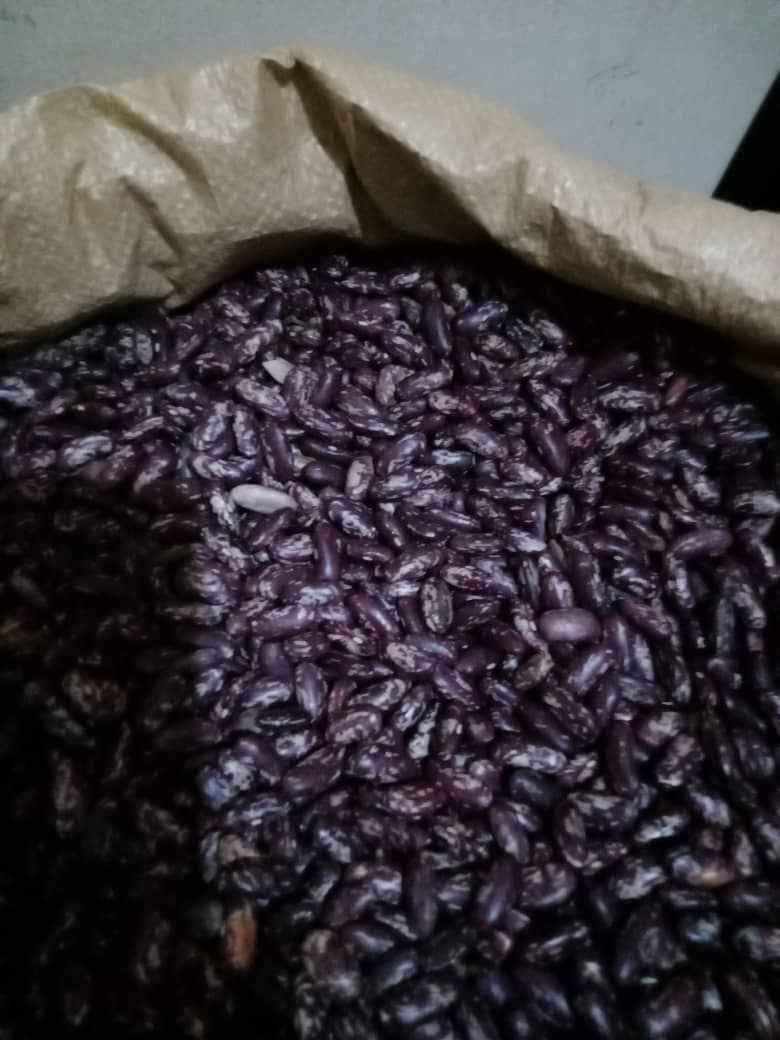 beans
