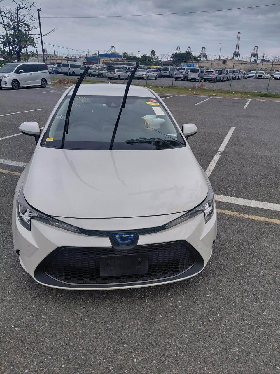 cars
