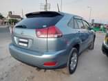 A picture of Harrier Newmodel for sale