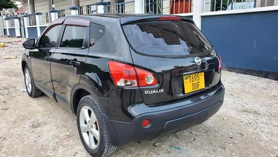 A picture of Nissan dualiz