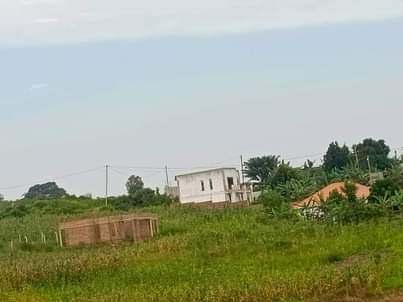 houses matugga