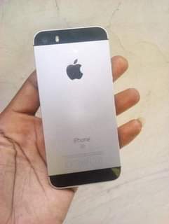 A picture of iPhone 5SE