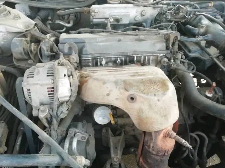 A picture of Camry Tiny Light