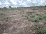 A picture of VINAUZWA LAKI 500 000 TU