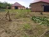 A picture of Plot in Katete mbarara WhatsApp 0781260064