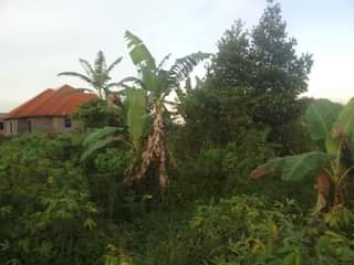 A picture of 90ft by 180ft on sale in kisoga along mukono katosi