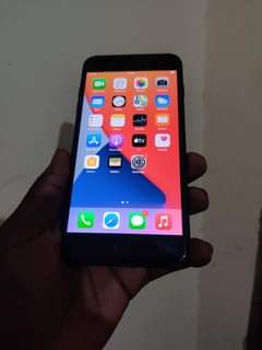 Kayongo R.