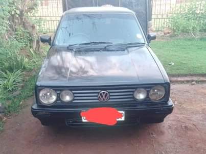 VW's F.