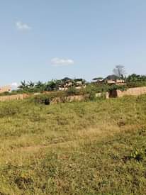 A picture of Plots 8.5m