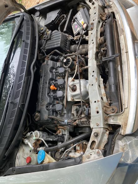 A picture of 2008 Honda civic