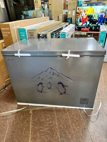 A picture of Freeze with ease Quality deep freezers at affordable prices Order