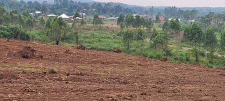 A picture of BRAND NEW ESTATE 2024 WITH READY TITLES AND DEVELOPED NEIGHBORHOOD