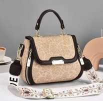A picture of Women s handbag
