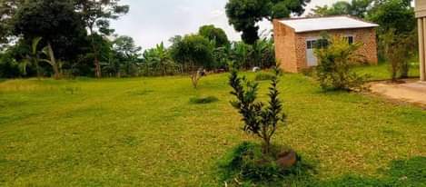 A picture of Busubuzi deal on quick sale Well finished house on quick