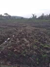 A picture of Plot for sale