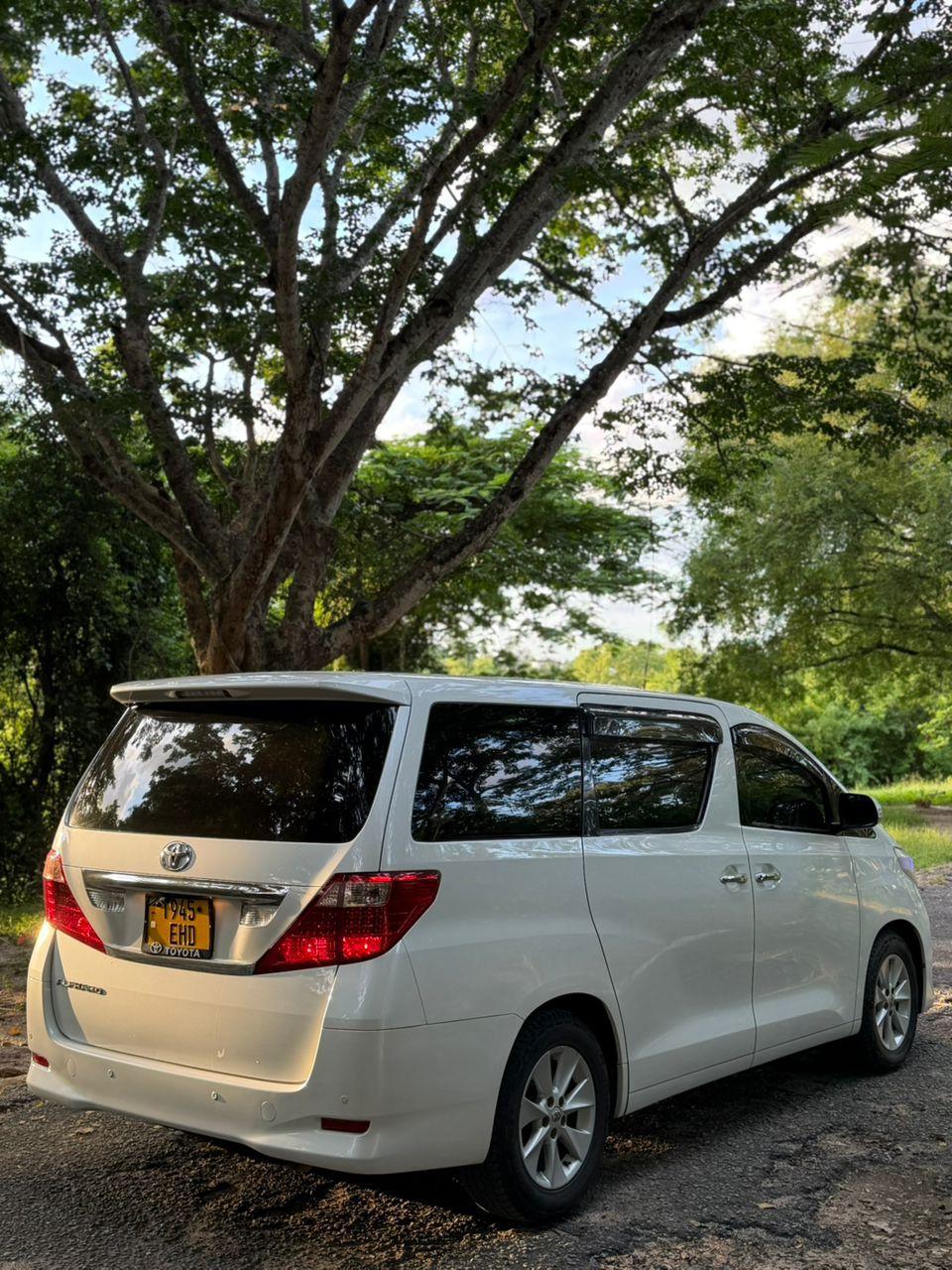 A picture of Toyota alphard