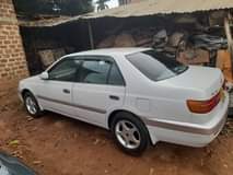 A picture of Acar