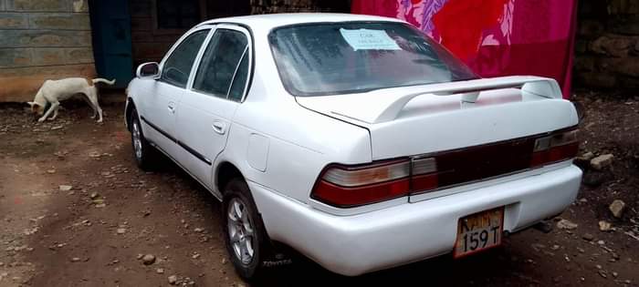 cars