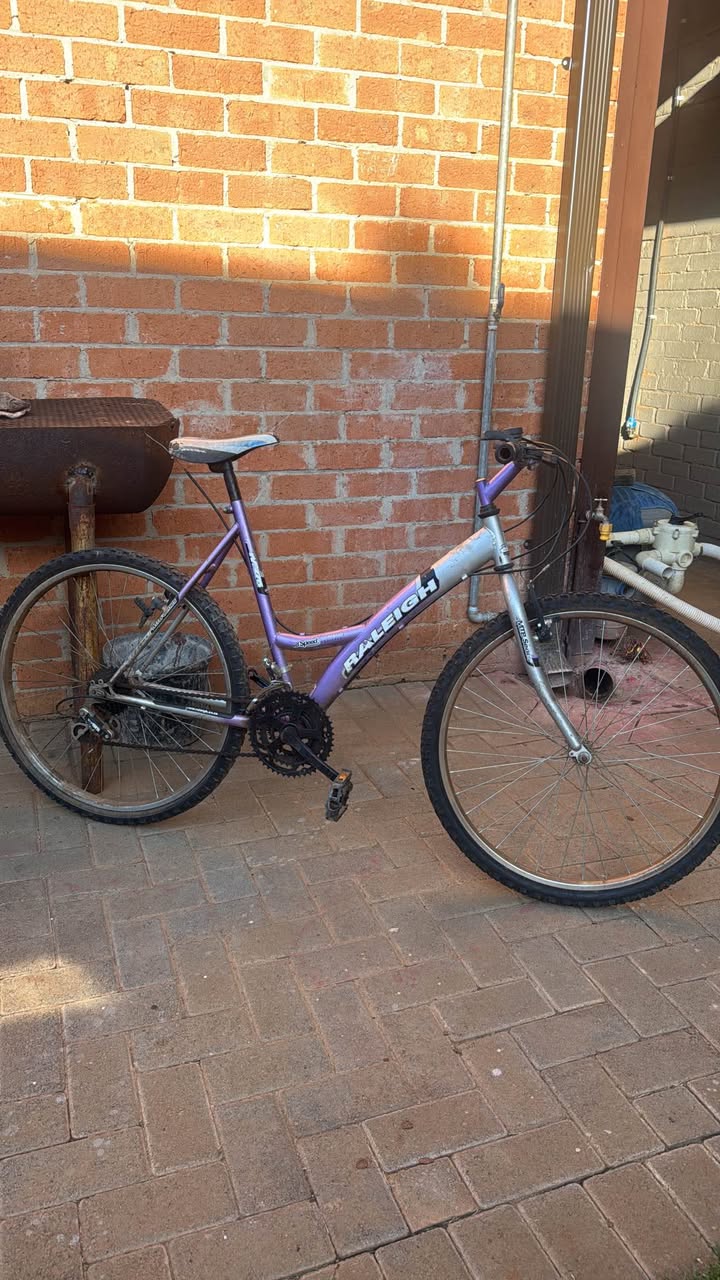 raleigh bicycles