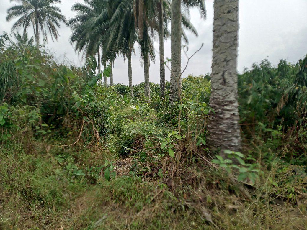 A picture of Landed property