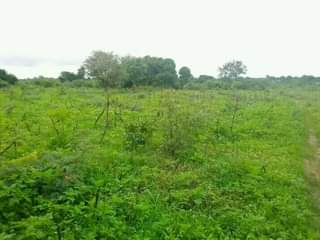 mwembeshi