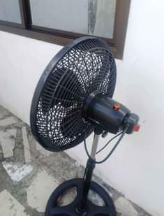 A picture of Feni