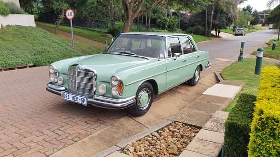 Tshepang M.